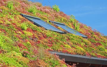 Kingsbury living roof systems